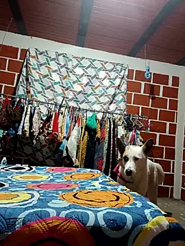 Snapshot of PaulinaLondra2 chatting on December 19, 2025, 12:07 pm PaulinaLondra2 online show from December 19, 2025, 12:07 pm