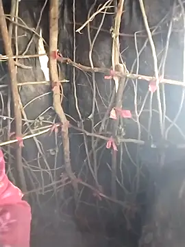 Snapshot of Jooli_cuty chatting on February 20, 2026, 11:12 am Jooli cuty online show from February 20, 2026, 11:12 am