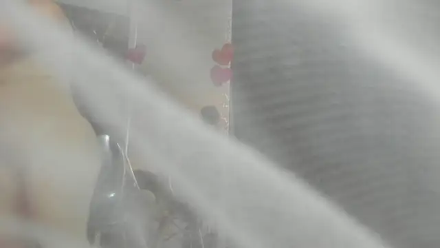 clara heat online show from March 31, 2026, 6:54 pm