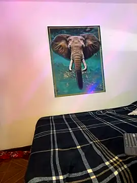 Snapshot of alisaa_jhons1 chatting on November 27, 2025, 1:17 am alisaa jhons1 online show from November 27, 2025, 1:17 am