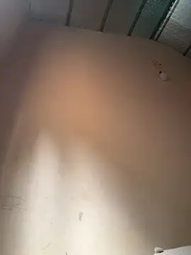 Dilen 7533 online show from November 13, 2025, 2:04 am