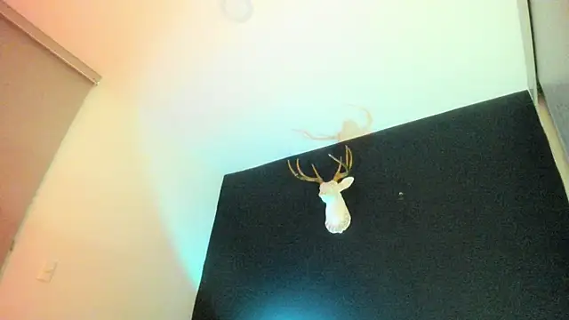 Zeus Jeff online show from February 19, 2026, 1:35 am