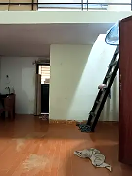 Lynly k2 online show from March 11, 2026, 1:10 am