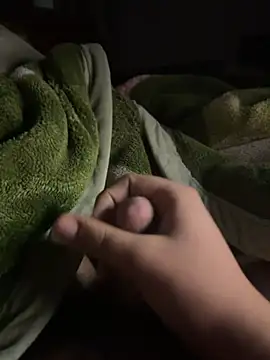 Snapshot of VavEBig chatting on November 11, 2025, 11:20 pm VavEBig online show from November 11, 2025, 11:20 pm