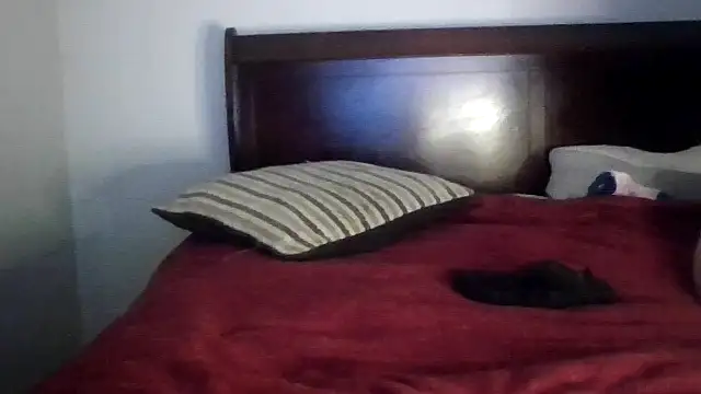 Dusaa  online show from December 17, 2025, 8:36 pm