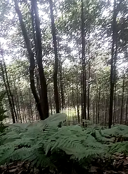 Snapshot of thuy-kieu chatting on January 9, 2026, 1:56 am thuy-kieu online show from January 9, 2026, 1:56 am