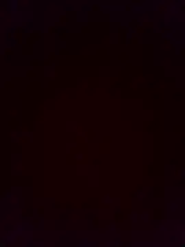 chim-yen online show from November 20, 2025, 12:50 pm