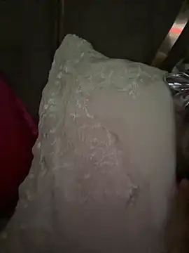 Snapshot of dalou3a22 chatting on November 20, 2025, 11:25 pm dalou3a22 online show from November 20, 2025, 11:25 pm