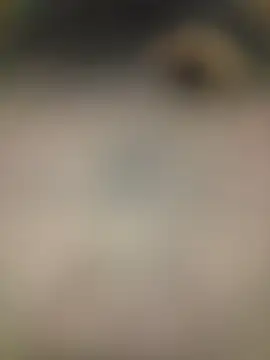 Snapshot of piggylatino chatting on February 2, 2026, 6:01 am piggylatino online show from February 2, 2026, 6:01 am