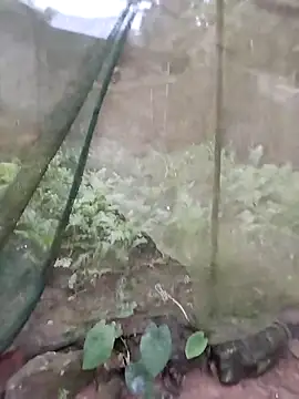 gugu0022 online show from February 25, 2026, 11:26 pm