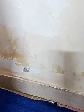 Asha devi90 online show from April 12, 2026, 3:59 pm