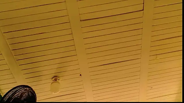 Snapshot of lunabustygirl chatting on February 22, 2026, 4:04 am lunabustygirl online show from February 22, 2026, 4:04 am