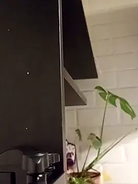 Yovitarica online show from November 29, 2025, 2:01 am