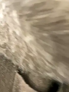 yiyi0316 online show from November 28, 2025, 5:29 am