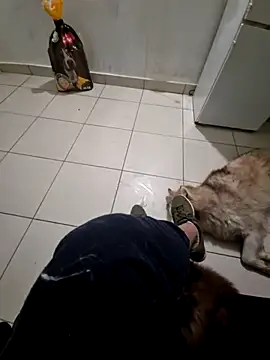 Snapshot of RITAEGIH chatting on March 2, 2026, 8:05 pm RITAEGIH online show from March 2, 2026, 8:05 pm