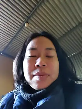 Cat-meow online show from November 26, 2025, 1:38 am