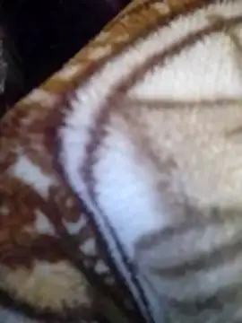 Snapshot of Sonam44 chatting on December 19, 2025, 4:53 pm Sonam44 online show from December 19, 2025, 4:53 pm