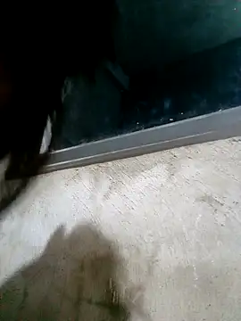 Snapshot of Ava-120 chatting on February 17, 2026, 3:09 pm Ava-120 online show from February 17, 2026, 3:09 pm