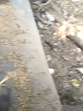 Playboy pune  online show from November 26, 2025, 9:09 am