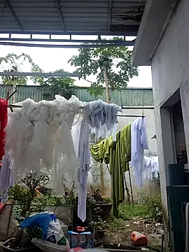 Snapshot of alibaba3x chatting on February 10, 2026, 4:55 am alibaba3x online show from February 10, 2026, 4:55 am