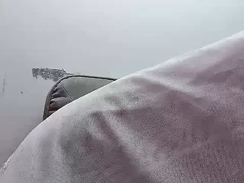 Binnky online show from April 4, 2026, 2:29 am