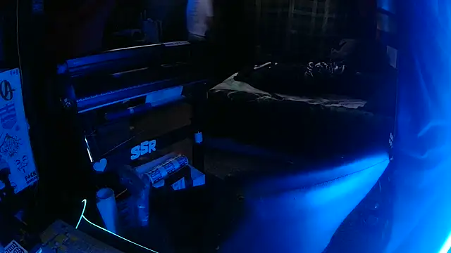 Snapshot of Bowerboi chatting on November 30, 2025, 10:32 pm Bowerboi online show from November 30, 2025, 10:32 pm