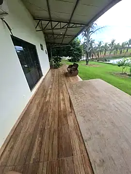 nori dunda online show from March 26, 2026, 12:03 pm