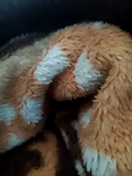 Hotboylumia 825321 online show from December 20, 2025, 1:14 pm