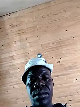 pdck2025 online show from November 24, 2025, 10:59 am