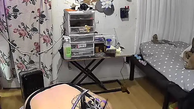 Snapshot of chaoticluvbug chatting on February 4, 2026, 4:51 am chaoticluvbug online show from February 4, 2026, 4:51 am