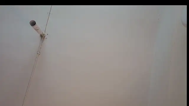 Snapshot of ShyColette chatting on November 22, 2025, 3:27 am ShyColette online show from November 22, 2025, 3:27 am