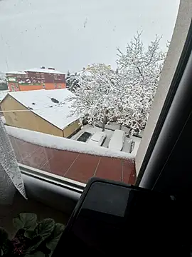 samotnyNapalonyxh online show from November 26, 2025, 1:44 pm