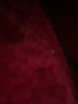 Snapshot of hotel222 chatting on November 27, 2025, 1:06 am hotel222 online show from November 27, 2025, 1:06 am