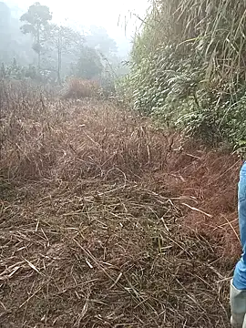 nangmo online show from March 1, 2026, 1:16 am