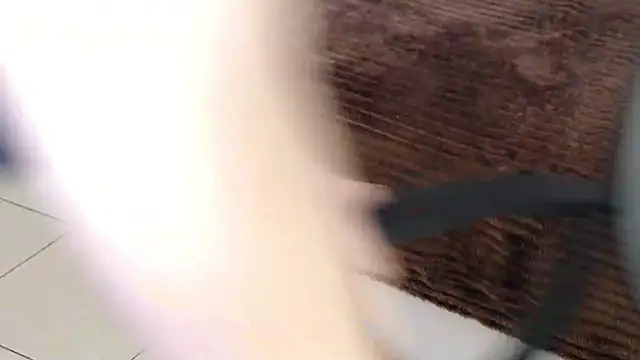 Snapshot of Brandy_Gem chatting on February 19, 2026, 7:49 am Brandy Gem online show from February 19, 2026, 7:49 am