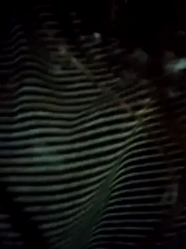 EweXZZ online show from February 24, 2026, 2:01 am