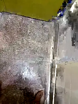 ray buny online show from November 26, 2025, 7:36 pm