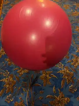 Rabizoon online show from December 20, 2025, 1:03 pm