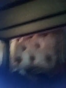 Cuteyuuboy2086 online show from January 13, 2026, 1:04 pm