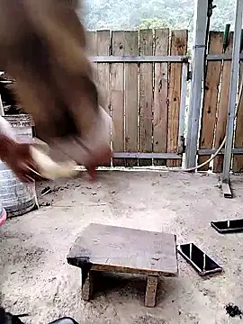 mumu661 online show from January 8, 2026, 8:31 am