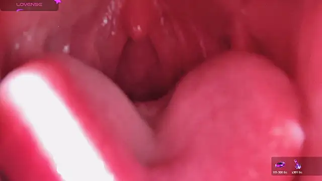 LT-333 online show from February 13, 2026, 6:02 am