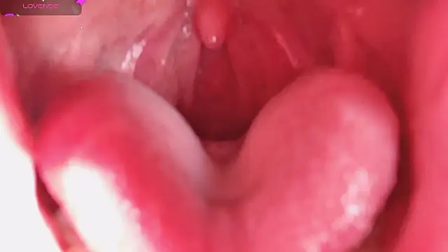 LT-333 online show from February 5, 2026, 8:26 pm