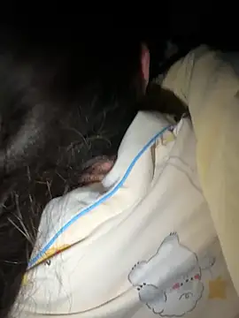 molihua 7788 online show from April 4, 2026, 6:36 pm