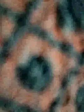 lustyy boy online show from December 1, 2025, 5:14 pm