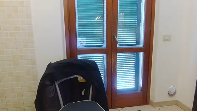 AMIRDIB2025 online show from February 21, 2026, 10:28 am