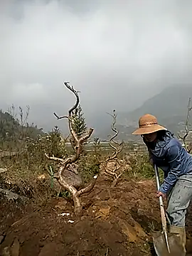 Alibabapi online show from March 25, 2026, 2:12 am