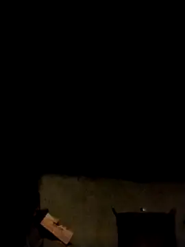 Snapshot of LeoPet2x chatting on February 11, 2026, 1:44 pm LeoPet2x online show from February 11, 2026, 1:44 pm