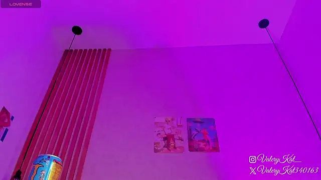 Snapshot of Valerykat_ chatting on February 13, 2026, 11:32 am Valerykat online show from February 13, 2026, 11:32 am