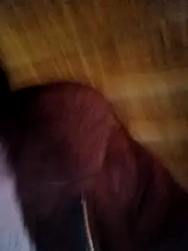 Evelyn-n online show from February 11, 2026, 6:57 am