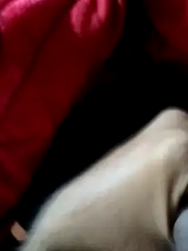 mast boy online show from December 14, 2025, 8:53 am